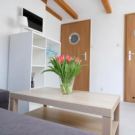 Roza Wiatrow Quarto em Acomodações Particulares Chłopy