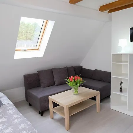 Roza Wiatrow * Chłopy