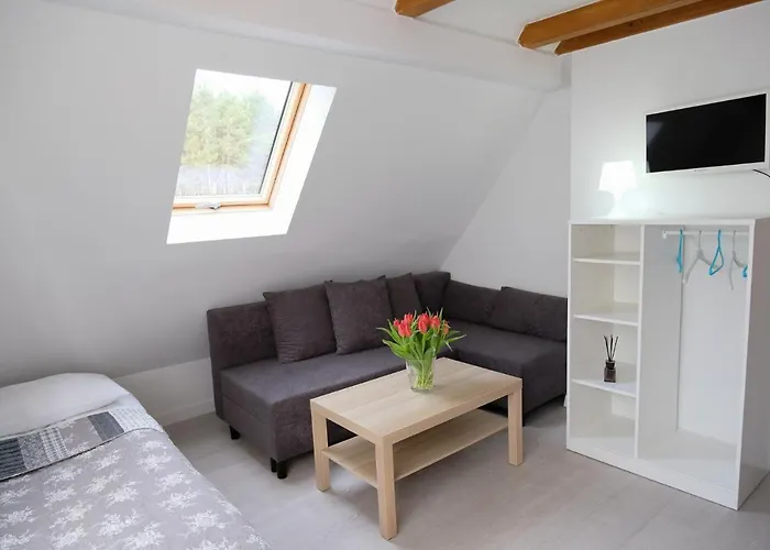 Roza Wiatrow * Chłopy