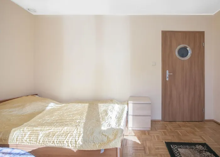 Roza Wiatrow Chłopy